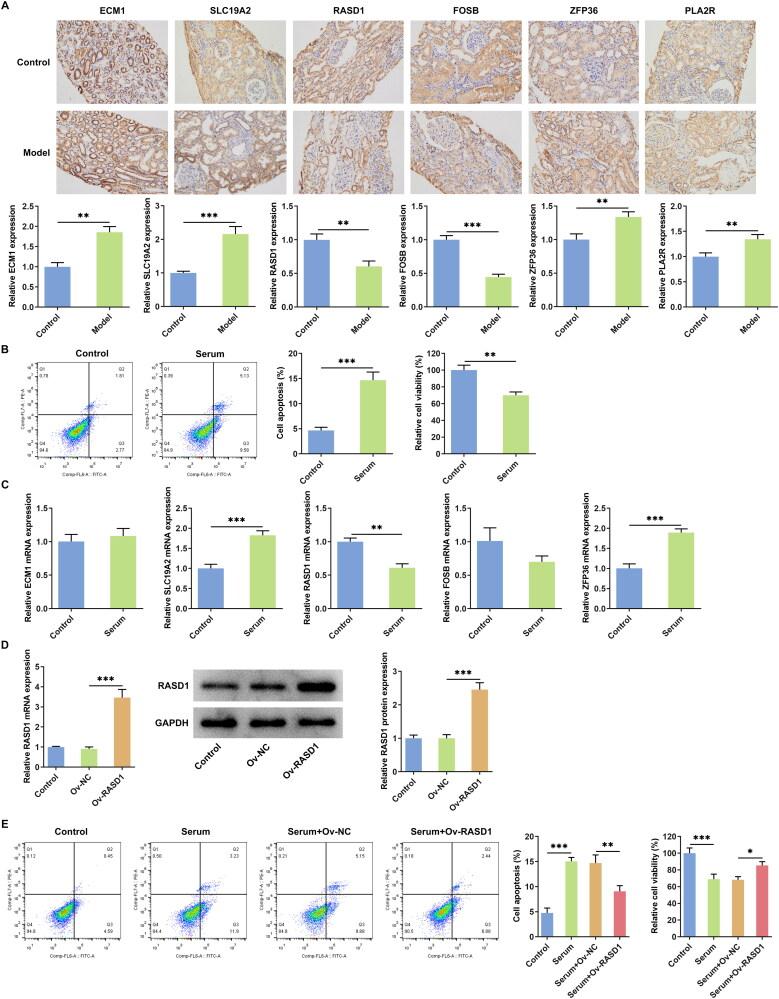 https://cdn.ncbi.nlm.nih.gov/pmc/blobs/5841/11734395/147a602825c7/IRNF_A_2438859_F0009_C.jpg