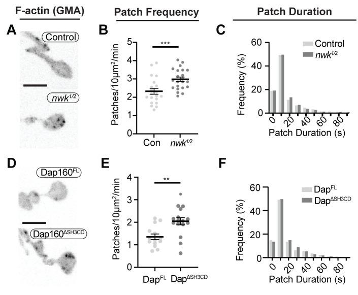 https://cdn.ncbi.nlm.nih.gov/pmc/blobs/5844/8321554/2a033f23329f/elife-69597-fig6.jpg