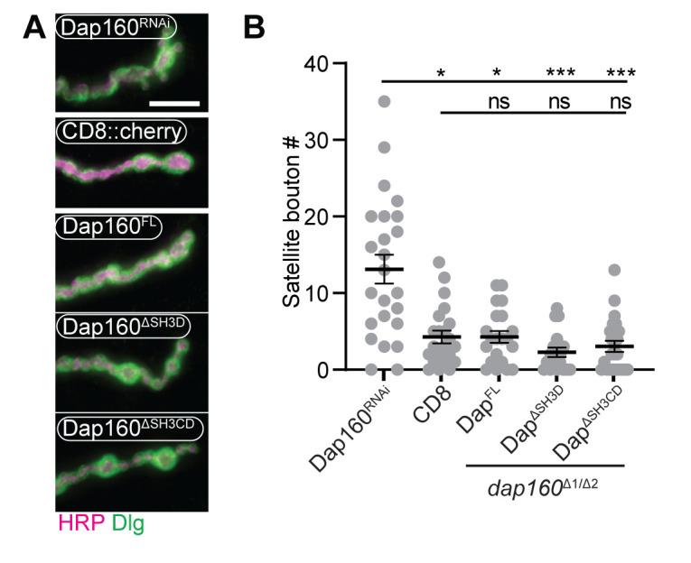 https://cdn.ncbi.nlm.nih.gov/pmc/blobs/5844/8321554/33ee830d2b74/elife-69597-fig7-figsupp2.jpg