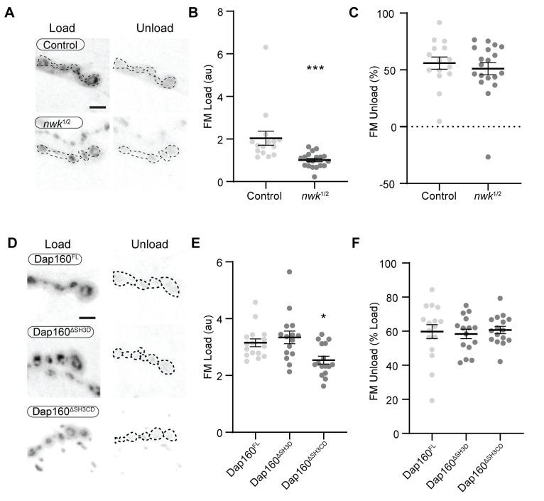 https://cdn.ncbi.nlm.nih.gov/pmc/blobs/5844/8321554/6e52088545ec/elife-69597-fig7-figsupp3.jpg