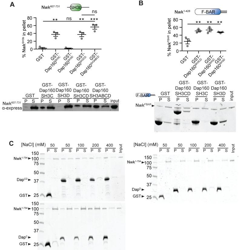 https://cdn.ncbi.nlm.nih.gov/pmc/blobs/5844/8321554/ba1442b3aa1e/elife-69597-fig3-figsupp1.jpg