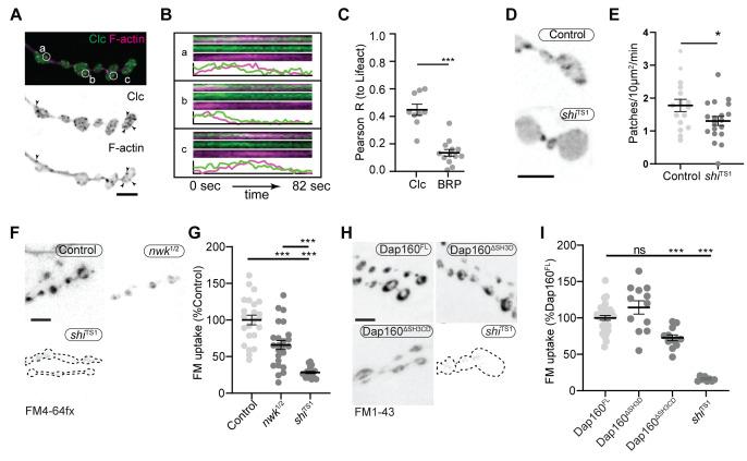 https://cdn.ncbi.nlm.nih.gov/pmc/blobs/5844/8321554/c98343176638/elife-69597-fig7.jpg