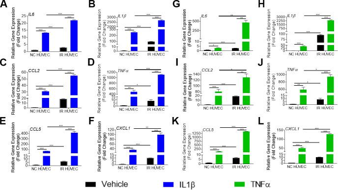 https://cdn.ncbi.nlm.nih.gov/pmc/blobs/5844/8386536/10ecfe05fbba/aging-13-203396-g002.jpg