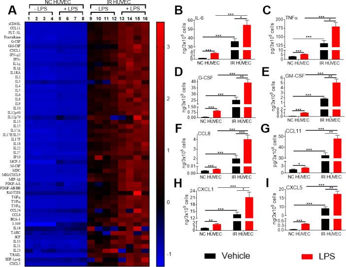 https://cdn.ncbi.nlm.nih.gov/pmc/blobs/5844/8386536/2410df48f28e/aging-13-203396-g003.jpg