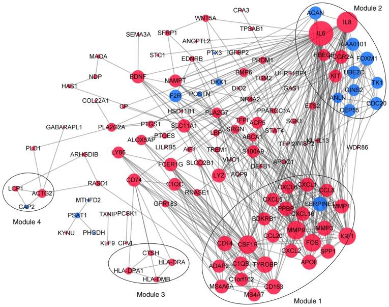 https://cdn.ncbi.nlm.nih.gov/pmc/blobs/5847/6236257/941c628801c8/MMR-18-06-5594-g04.jpg
