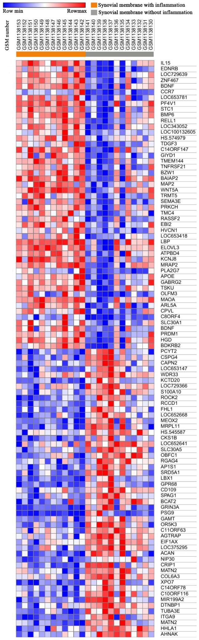 https://cdn.ncbi.nlm.nih.gov/pmc/blobs/5847/6236257/f72fb30618eb/MMR-18-06-5594-g00.jpg