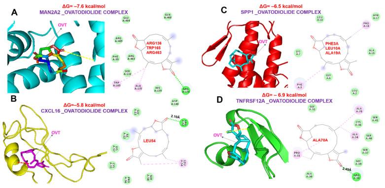 https://cdn.ncbi.nlm.nih.gov/pmc/blobs/584a/8836044/cb9e17bf6bc9/ijms-23-01281-g008.jpg