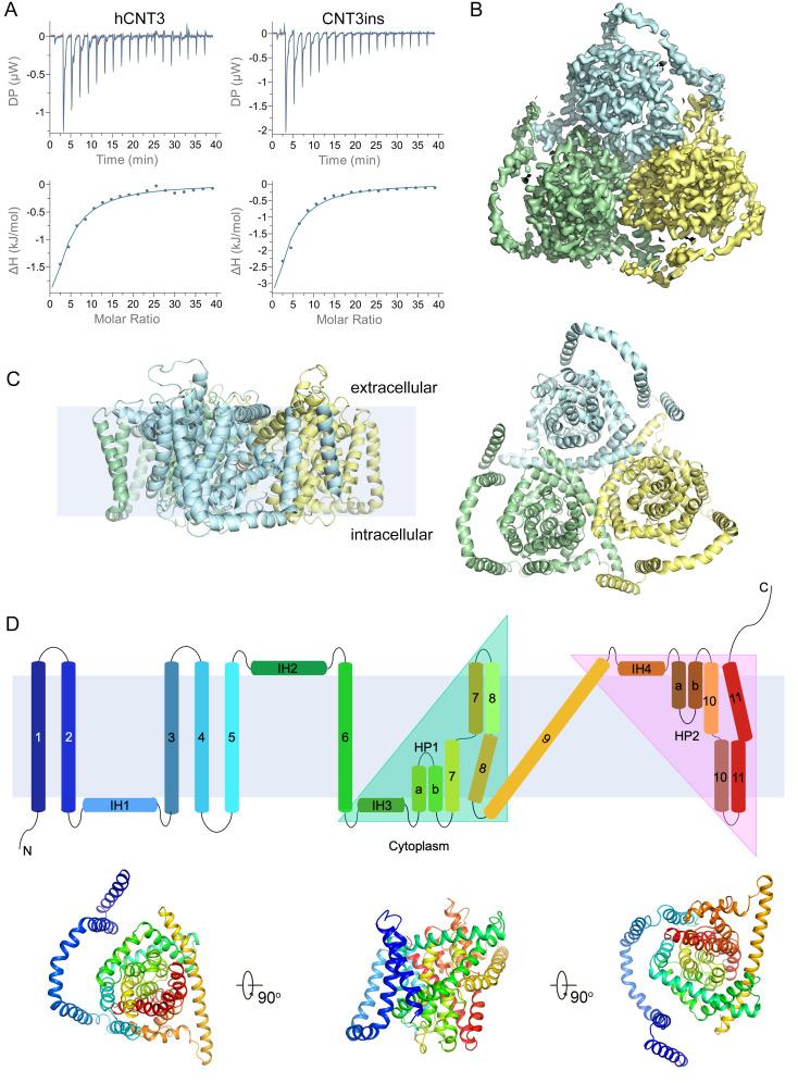 https://cdn.ncbi.nlm.nih.gov/pmc/blobs/584b/7440666/8ac8177e0f22/pbio.3000790.g001.jpg