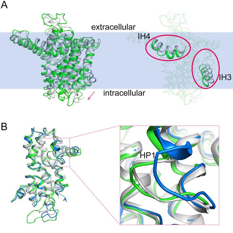 https://cdn.ncbi.nlm.nih.gov/pmc/blobs/584b/7440666/a7859f561976/pbio.3000790.g003.jpg
