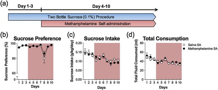 https://cdn.ncbi.nlm.nih.gov/pmc/blobs/584d/5811924/0f63057bc1fc/ADB-23-90-g008.jpg