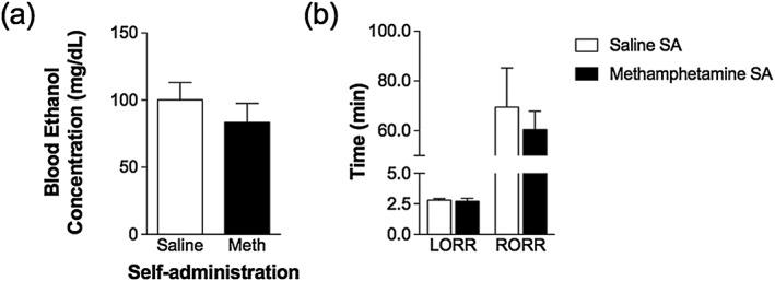 https://cdn.ncbi.nlm.nih.gov/pmc/blobs/584d/5811924/5956594ec453/ADB-23-90-g007.jpg