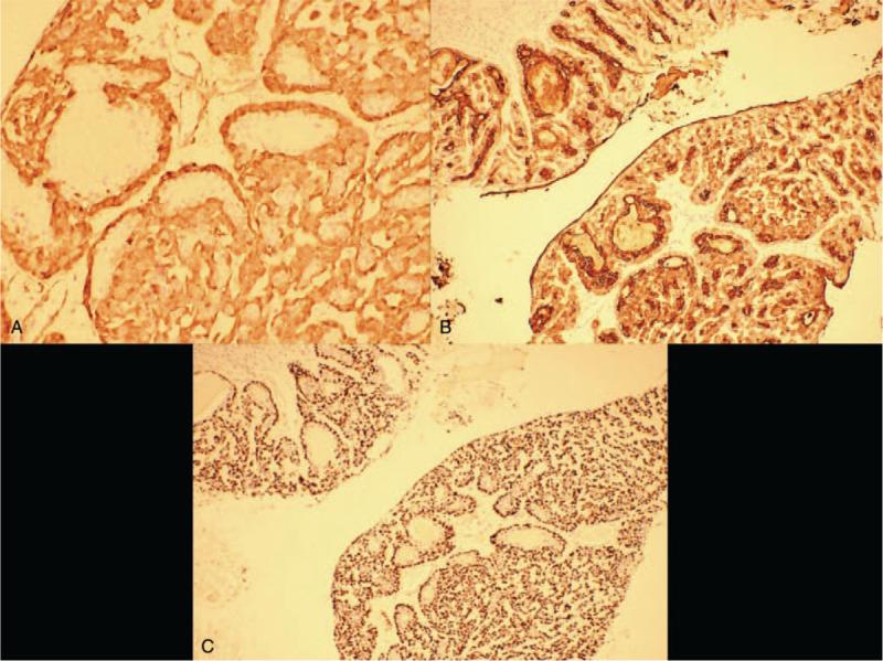 https://cdn.ncbi.nlm.nih.gov/pmc/blobs/5850/7870234/7fdcb5dc4a16/medi-100-e24461-g002.jpg