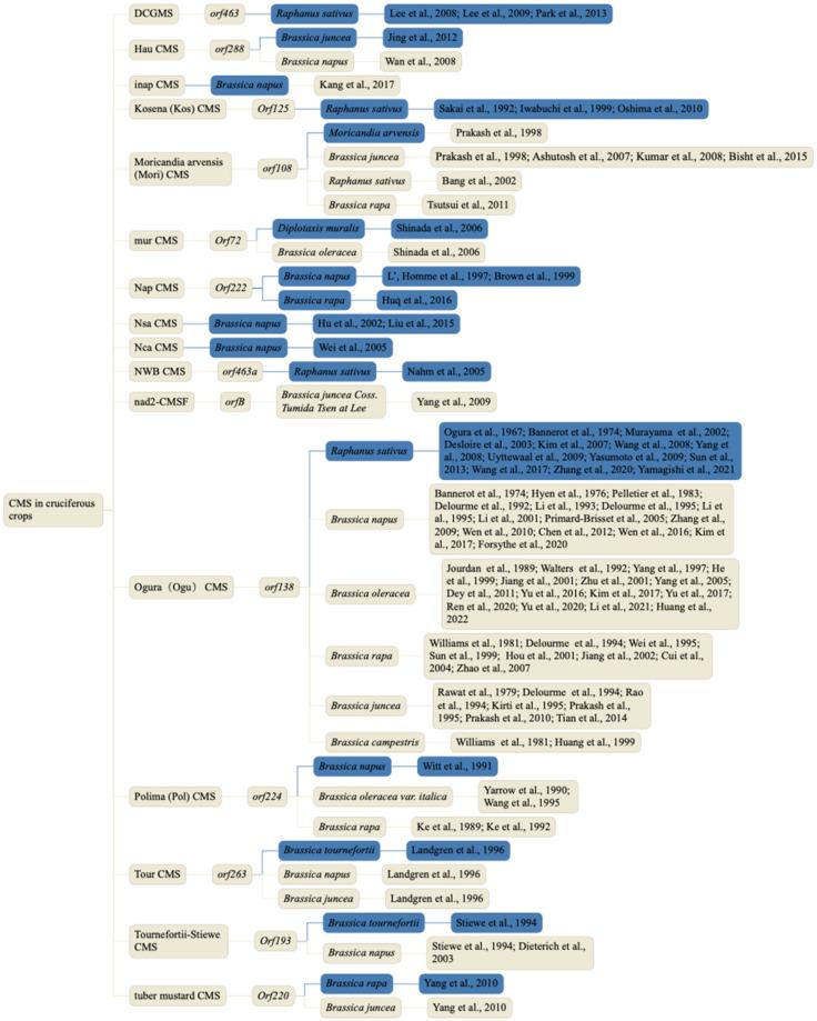 https://cdn.ncbi.nlm.nih.gov/pmc/blobs/5851/9409259/cccfb25e240d/ijms-23-09099-g001.jpg
