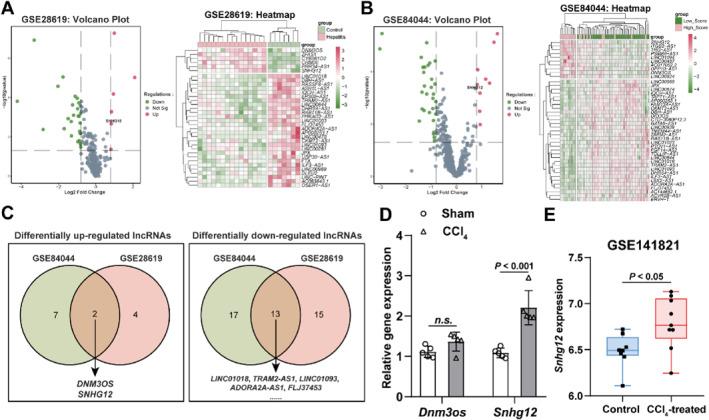 https://cdn.ncbi.nlm.nih.gov/pmc/blobs/5852/11208121/e5867b5c869d/CCS3-18-e12033-g006.jpg