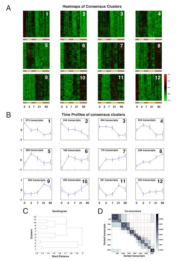 https://cdn.ncbi.nlm.nih.gov/pmc/blobs/5852/2900267/34a5cda57e7a/1471-2164-11-365-1.jpg