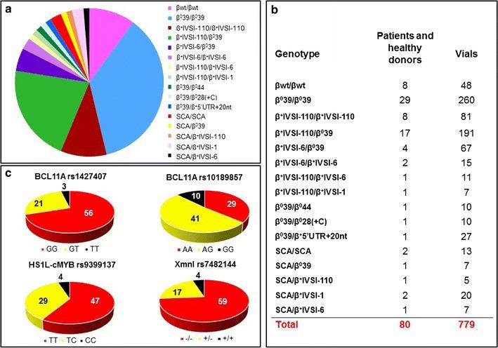 https://cdn.ncbi.nlm.nih.gov/pmc/blobs/5852/5010737/ae94773bb943/12967_2016_1016_Fig1_HTML.jpg