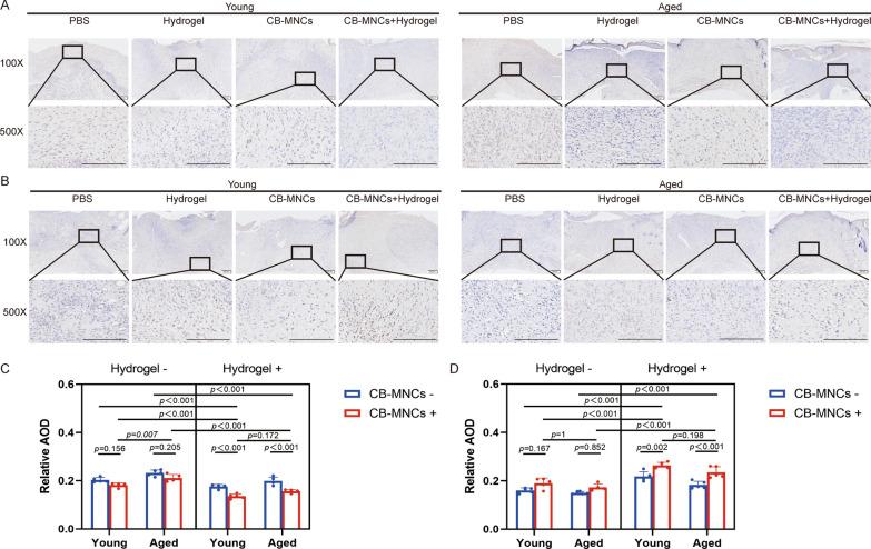 https://cdn.ncbi.nlm.nih.gov/pmc/blobs/5853/11806723/419aa4b3df6d/13287_2025_4177_Fig7_HTML.jpg