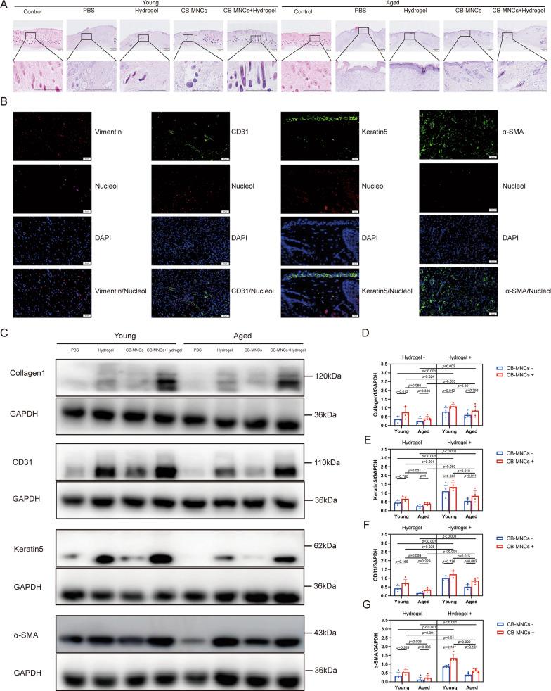 https://cdn.ncbi.nlm.nih.gov/pmc/blobs/5853/11806723/b9877d446fca/13287_2025_4177_Fig10_HTML.jpg
