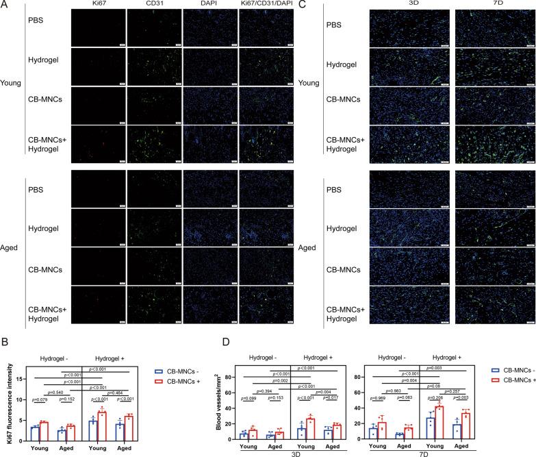 https://cdn.ncbi.nlm.nih.gov/pmc/blobs/5853/11806723/f19b981dd3fb/13287_2025_4177_Fig8_HTML.jpg