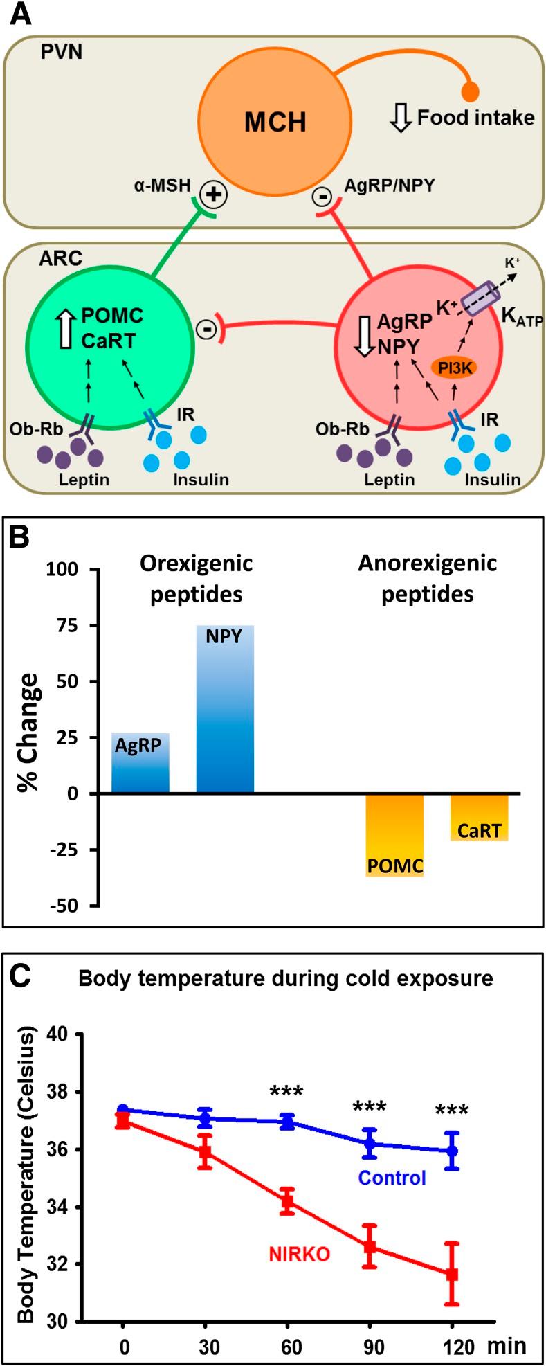 https://cdn.ncbi.nlm.nih.gov/pmc/blobs/5854/4066341/5148a3181719/2232fig2.jpg