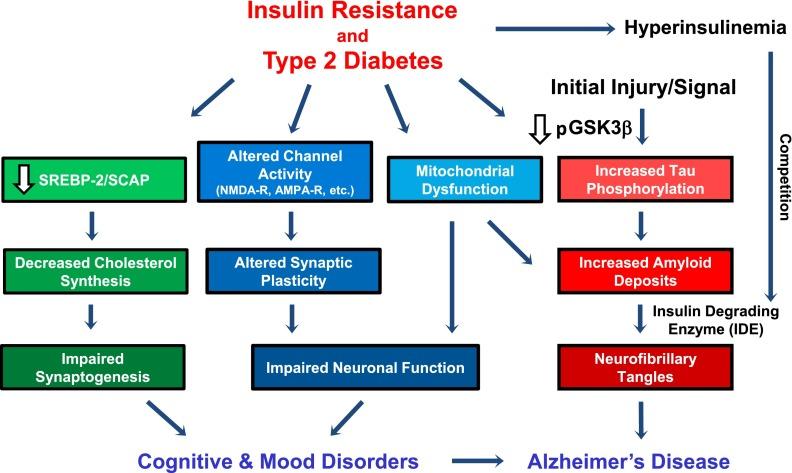 https://cdn.ncbi.nlm.nih.gov/pmc/blobs/5854/4066341/fe058f60c9b3/2232fig4.jpg