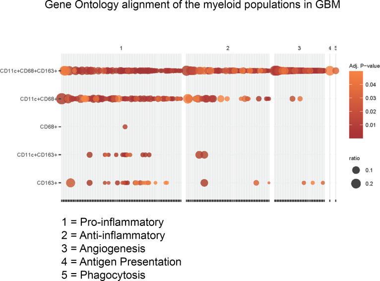 https://cdn.ncbi.nlm.nih.gov/pmc/blobs/5854/9090258/98d884c9886b/jciinsight-7-157612-g298.jpg
