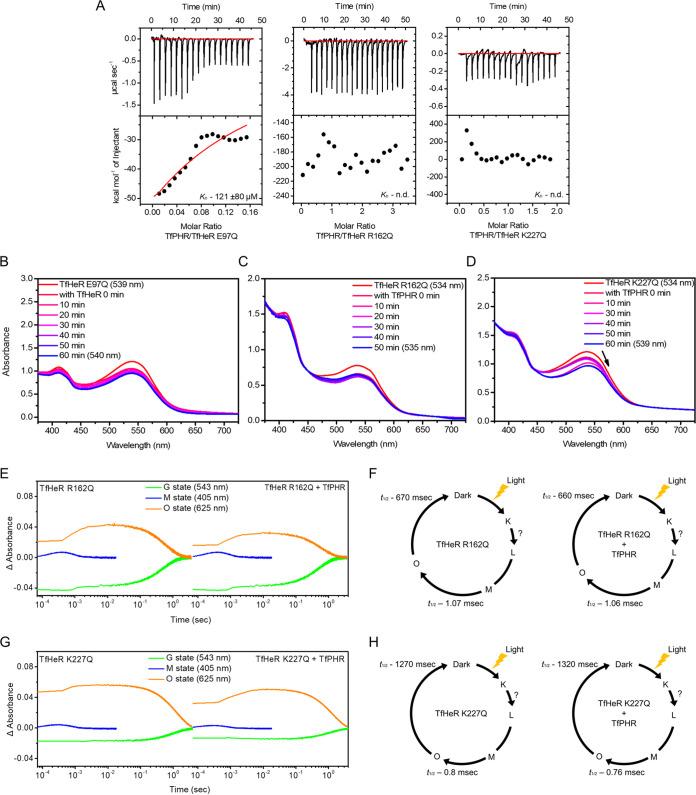 https://cdn.ncbi.nlm.nih.gov/pmc/blobs/5855/9769723/99957e6ff7a5/spectrum.02215-22-f004.jpg