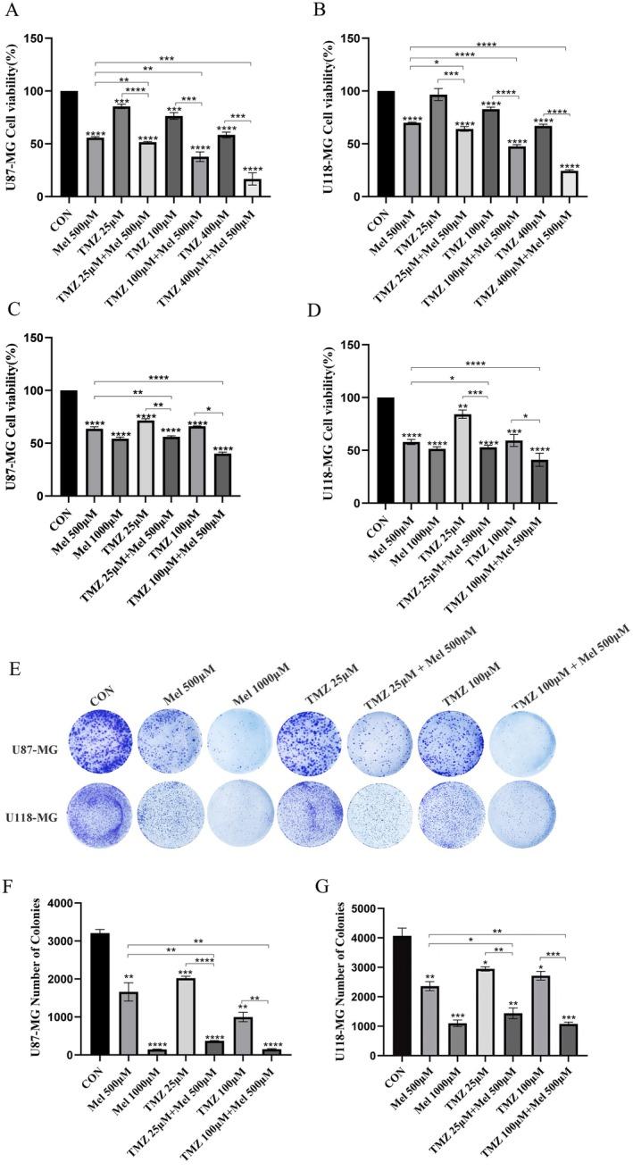 https://cdn.ncbi.nlm.nih.gov/pmc/blobs/5856/12350191/6a194f0ce2e3/JCMM-29-e70778-g007.jpg