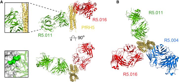 https://cdn.ncbi.nlm.nih.gov/pmc/blobs/5857/6602525/63f48a5dc588/gr6.jpg