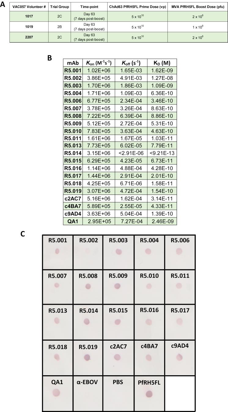 https://cdn.ncbi.nlm.nih.gov/pmc/blobs/5857/6602525/709557d39b48/figs1.jpg
