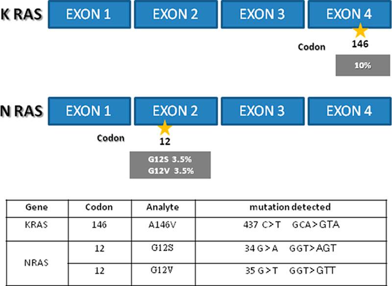 https://cdn.ncbi.nlm.nih.gov/pmc/blobs/5859/6135466/8a63fa558cab/pai-26-539-g002.jpg