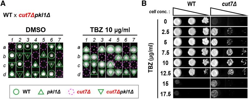 https://cdn.ncbi.nlm.nih.gov/pmc/blobs/5859/6325904/1e261abaa84d/269f5.jpg