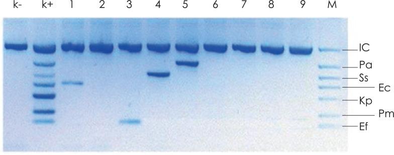 https://cdn.ncbi.nlm.nih.gov/pmc/blobs/585b/3794886/84622276e7b1/rado-47-03-296f1.jpg