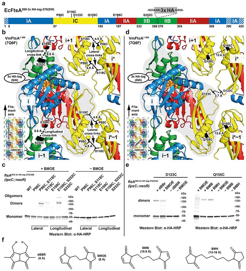 https://cdn.ncbi.nlm.nih.gov/pmc/blobs/585b/7613929/8d5fb08c4f19/EMS151223-f005.jpg