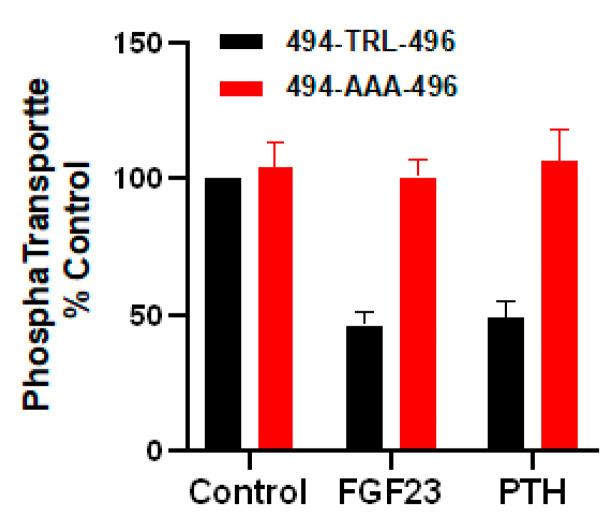 https://cdn.ncbi.nlm.nih.gov/pmc/blobs/585b/7866199/231b9b657cd3/ijms-22-01087-g006.jpg