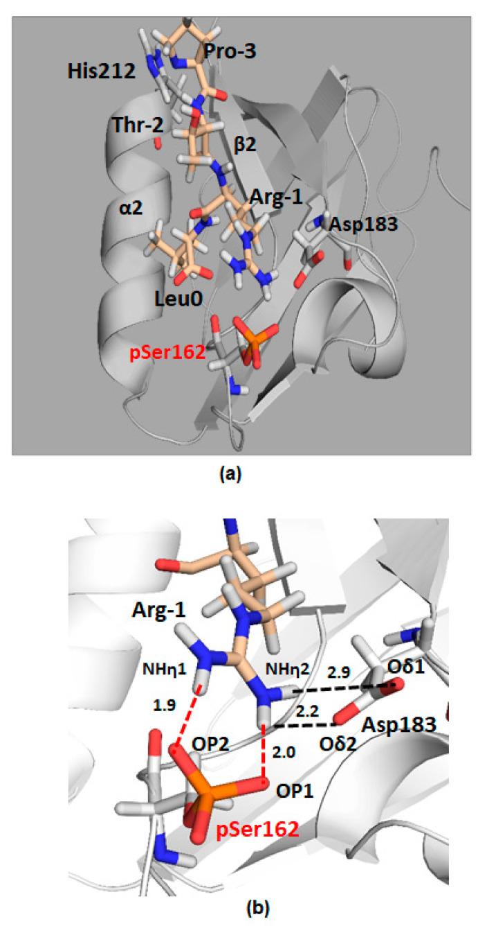 https://cdn.ncbi.nlm.nih.gov/pmc/blobs/585b/7866199/f37111374b14/ijms-22-01087-g009.jpg