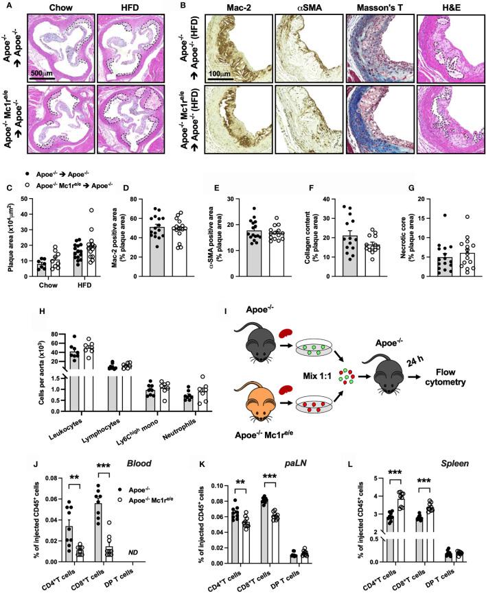 https://cdn.ncbi.nlm.nih.gov/pmc/blobs/585b/8640177/f3a419a80425/fimmu-12-774013-g004.jpg