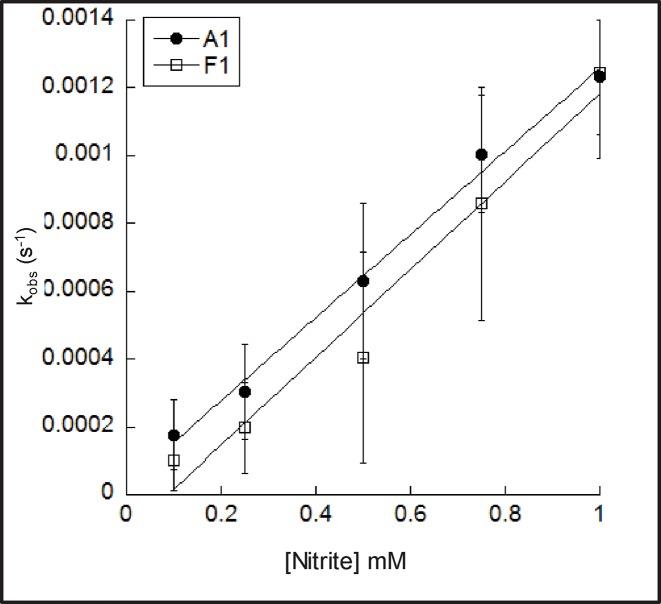 https://cdn.ncbi.nlm.nih.gov/pmc/blobs/585d/6028758/4dd4491ec315/bsr-38-bsr20180370-e4.jpg