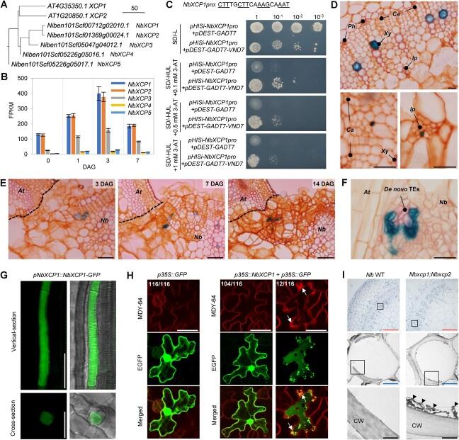 https://cdn.ncbi.nlm.nih.gov/pmc/blobs/585f/10251136/1509cf3478f9/uhad072f4.jpg