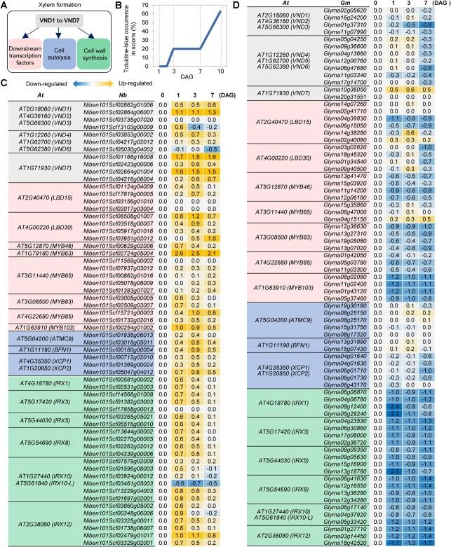 https://cdn.ncbi.nlm.nih.gov/pmc/blobs/585f/10251136/baa6e4dccd00/uhad072f2.jpg