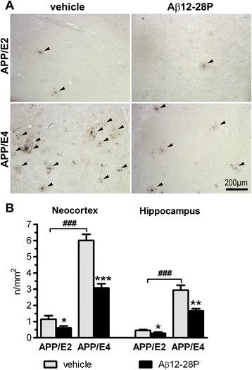 https://cdn.ncbi.nlm.nih.gov/pmc/blobs/5860/4174325/f8368aaebf95/40478_2014_75_Fig5_HTML.jpg