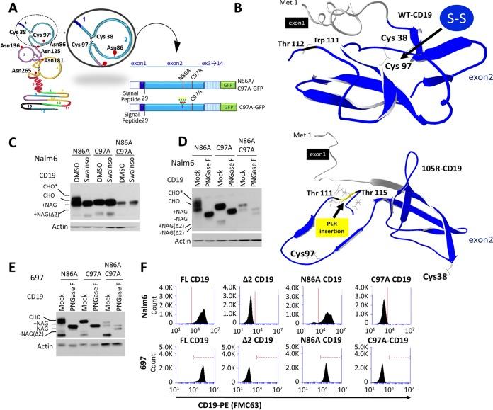 https://cdn.ncbi.nlm.nih.gov/pmc/blobs/5861/6189457/1f5df3eb60c2/zmb9991018510005.jpg