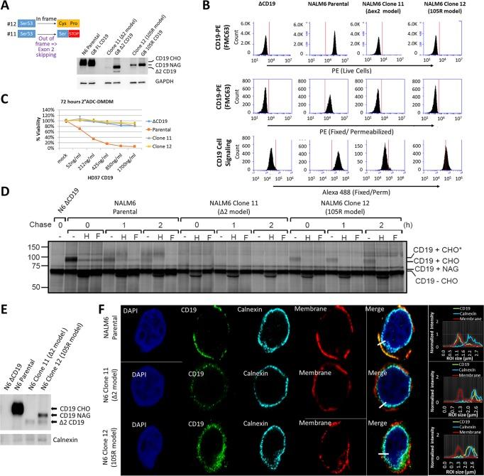 https://cdn.ncbi.nlm.nih.gov/pmc/blobs/5861/6189457/24151865cea0/zmb9991018510007.jpg