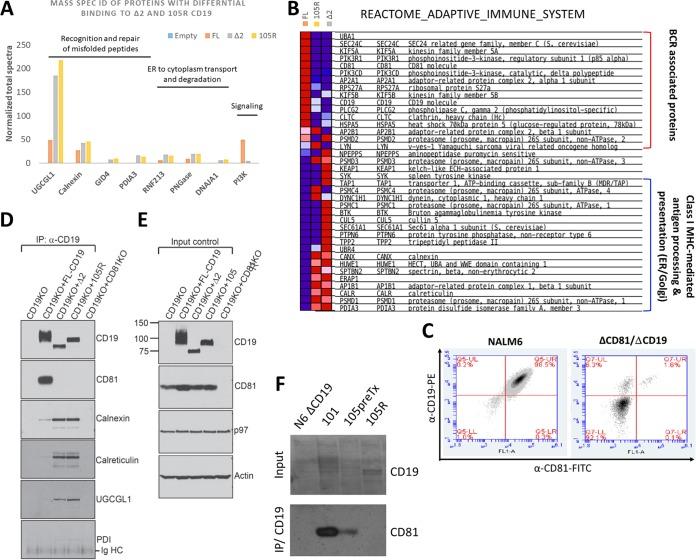 https://cdn.ncbi.nlm.nih.gov/pmc/blobs/5861/6189457/3ebf5ec1dadc/zmb9991018510008.jpg