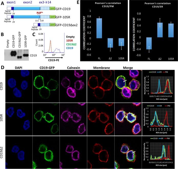 https://cdn.ncbi.nlm.nih.gov/pmc/blobs/5861/6189457/5cc329203303/zmb9991018510004.jpg