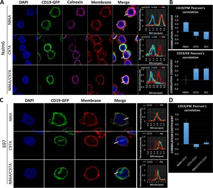 https://cdn.ncbi.nlm.nih.gov/pmc/blobs/5861/6189457/b919ef0295ff/zmb9991018510006.jpg