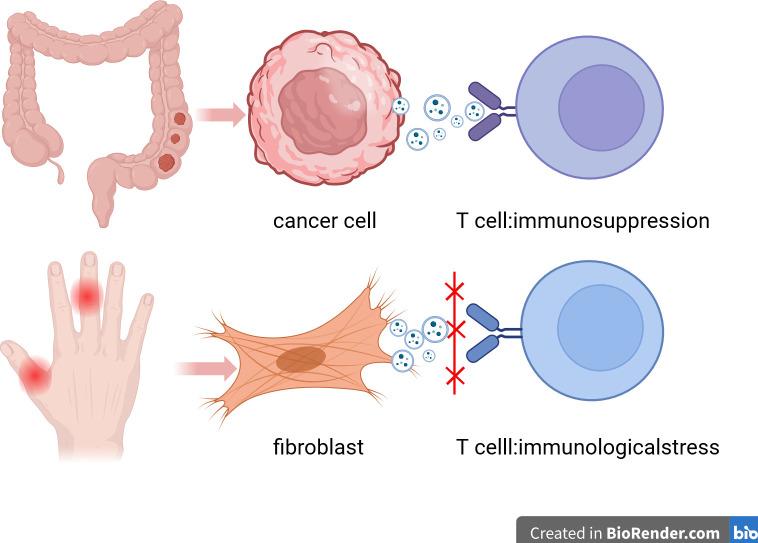 https://cdn.ncbi.nlm.nih.gov/pmc/blobs/5862/10461809/0b91a7abda03/fimmu-14-1238789-g002.jpg