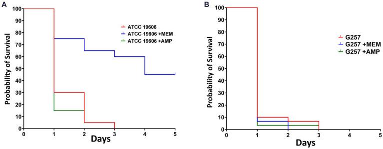 https://cdn.ncbi.nlm.nih.gov/pmc/blobs/5863/10927975/e197980d8d4f/fmicb-15-1375787-g005.jpg