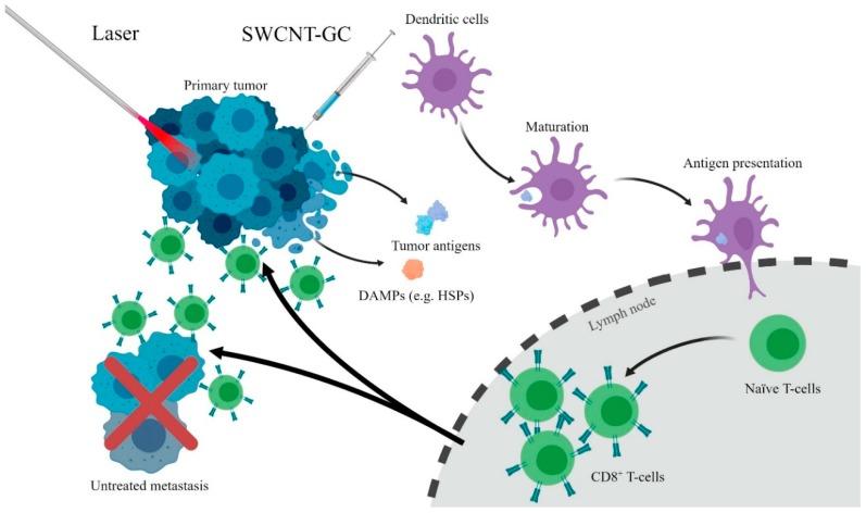 https://cdn.ncbi.nlm.nih.gov/pmc/blobs/5864/6427777/23fec349d3a2/materials-12-00779-g003.jpg