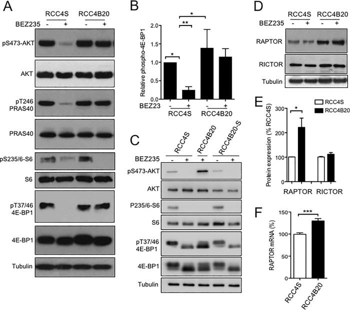 https://cdn.ncbi.nlm.nih.gov/pmc/blobs/5865/5794101/78bb46c6fd43/pone.0191890.g003.jpg